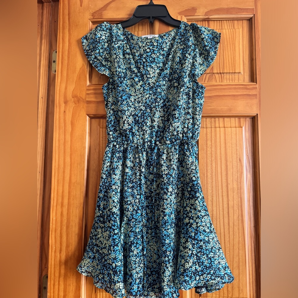 Steve Madden Floral Fit and Flare Mini Dress XS